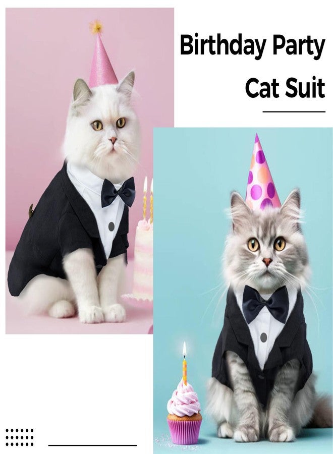 دينتران طقم بدلة رسمية للقطط من دينترون، زي رسمي لقطط سفينكس مع ربطة عنق، قميص أنيق للقطط، ملابس فاخرة، زي رسمي للقطط الصغيرة، زي زفاف للقطط فقط - Image 2